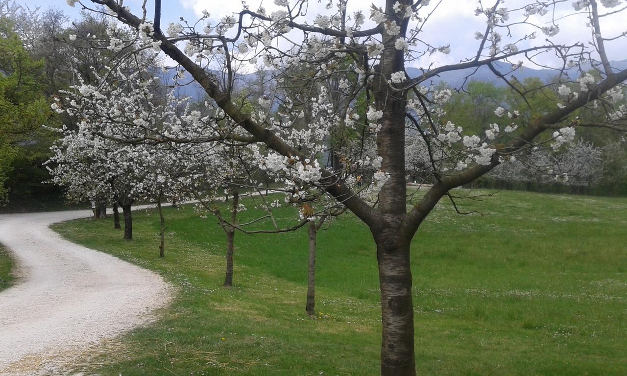 Albergo Rurale Parco Di San Floriano Polcenigo Luaran gambar