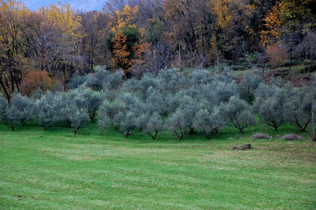 Albergo Rurale Parco Di San Floriano Polcenigo Luaran gambar